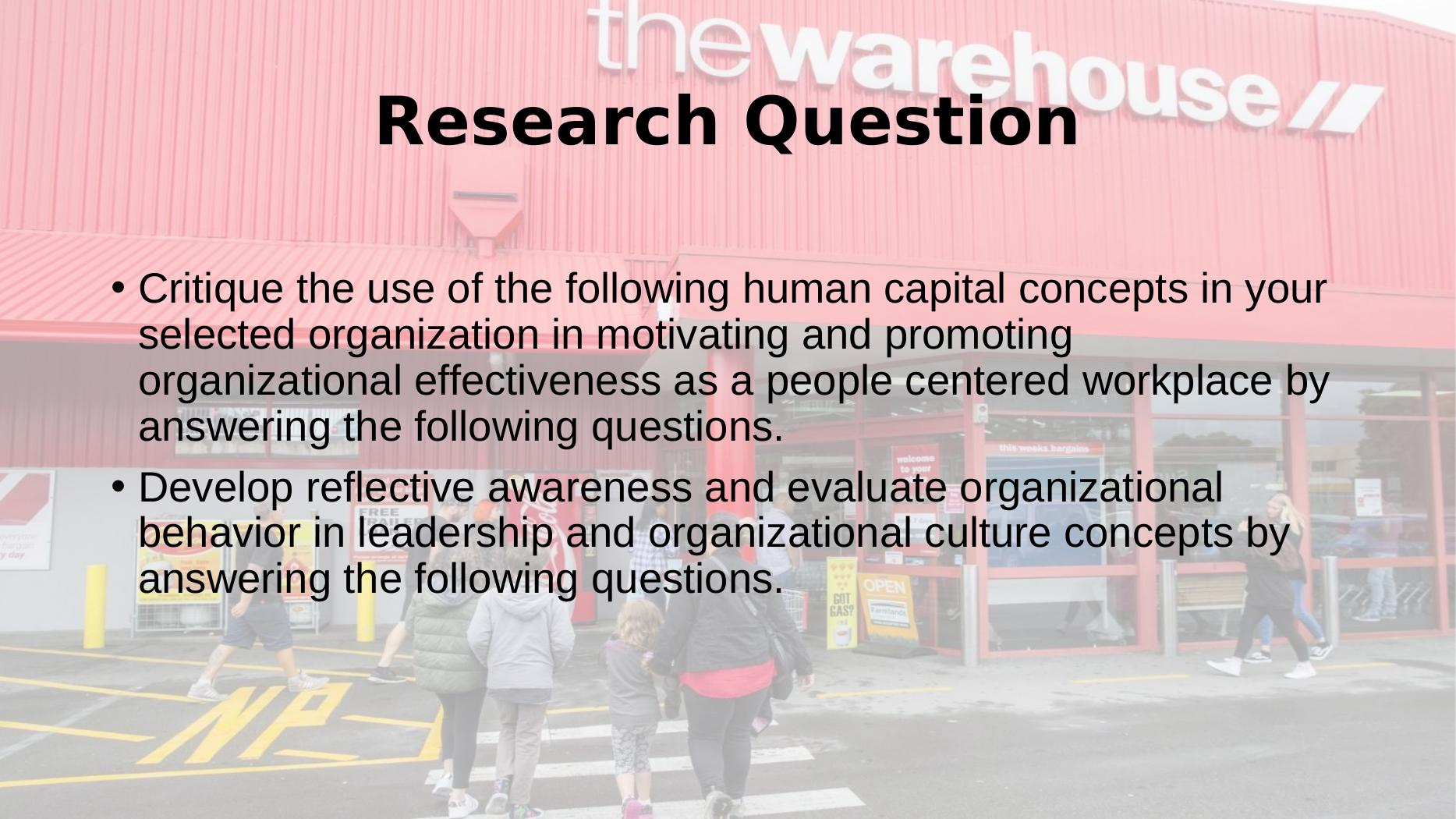 Critique Of Human Capital Concepts In Ware House Group