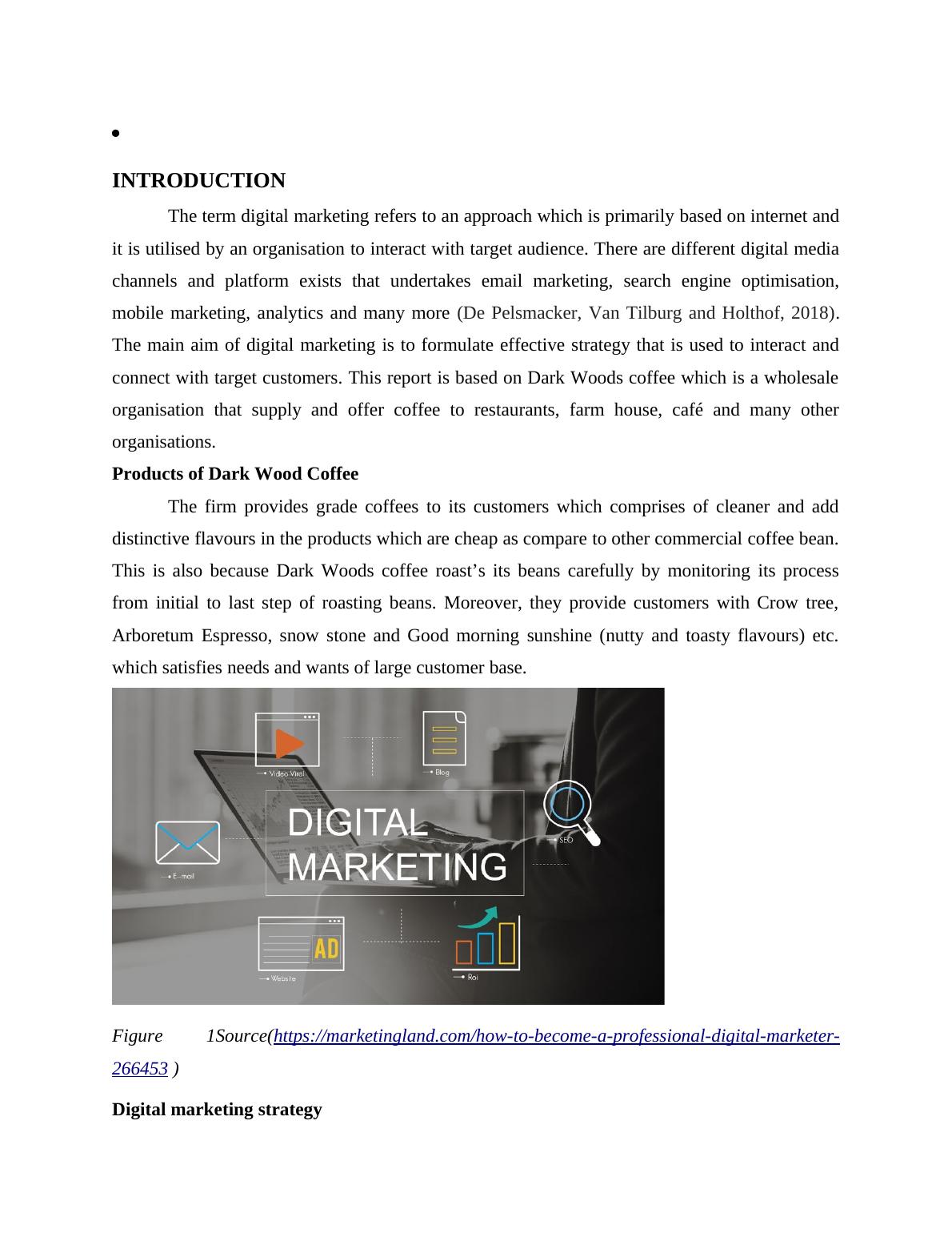 Digital Marketing Portfolio Desklib