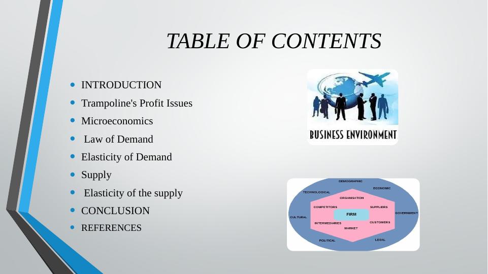 Impact Of Demand And Supply On Trampoline S Profit Issues