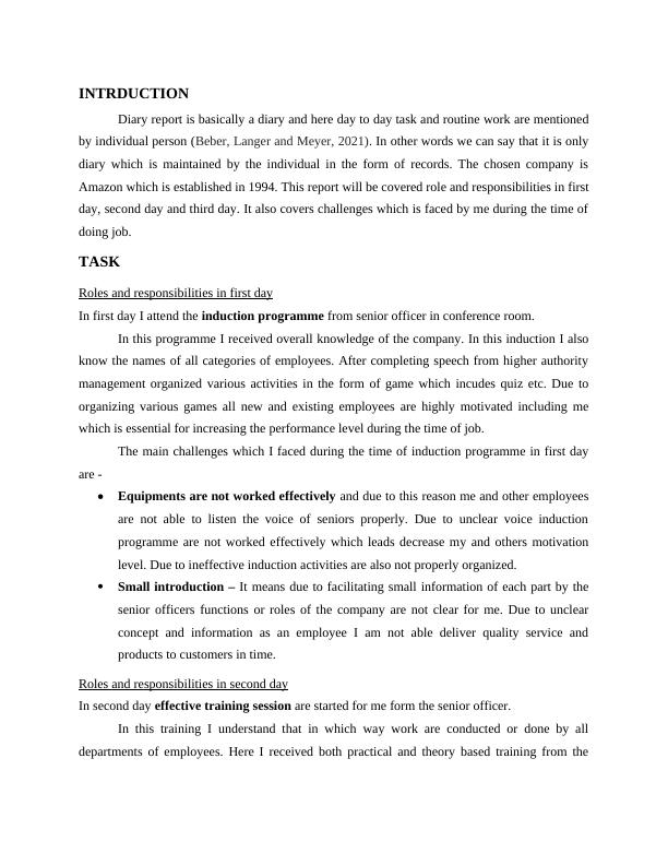 Diary Report Roles and Responsibilities in Amazon