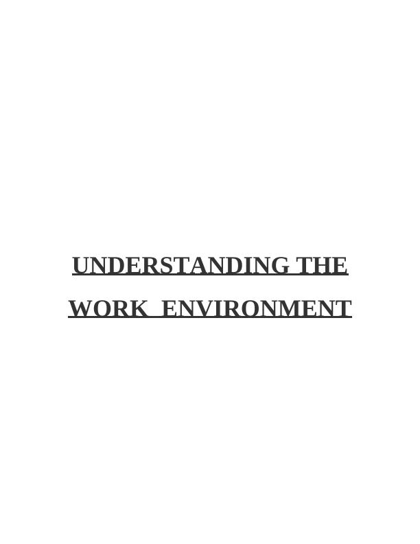 Understanding the Work Environment I - Amazon's Ethical Values, Public Policy, and Social Identity_1