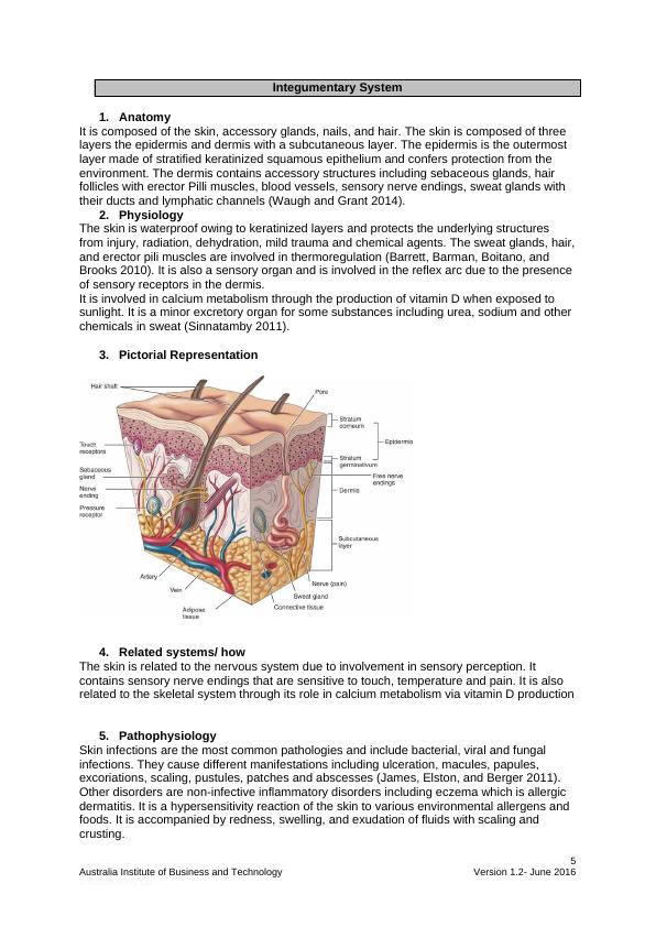 Anatomy and Physiology of Musculoskeletal, Integumentary, and Cells and Tissues Systems_5