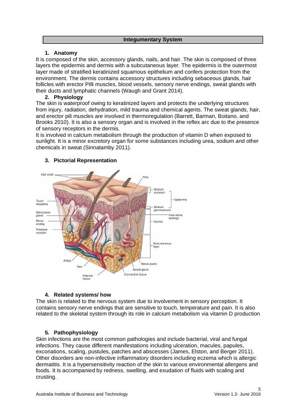 Anatomy and Physiology of Musculoskeletal, Integumentary, and Cells and ...