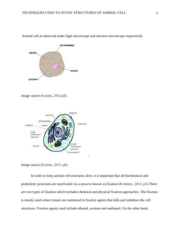 Techniques Used to Study Structures of Animal Cell_3