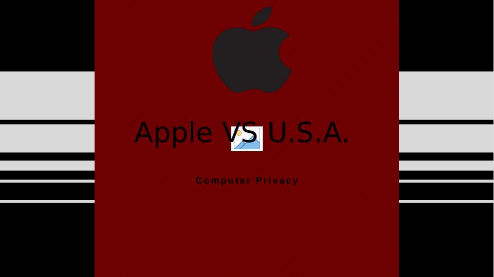 Apple vs USA: The Clash over Computer Privacy in the San Bernardino Attacks_1
