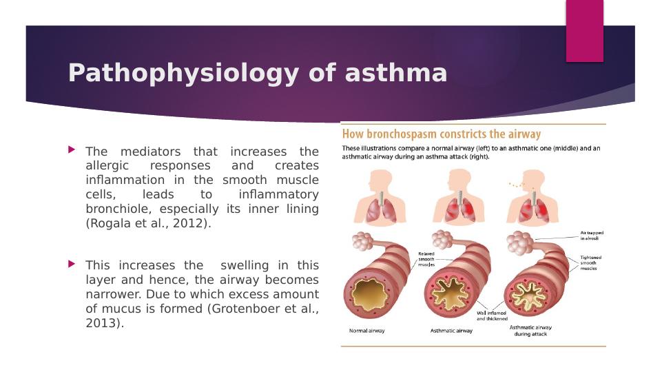 Understanding Asthma: Causes, Symptoms, and Treatment