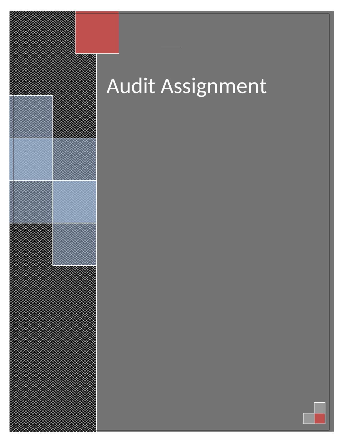 special assignment audit