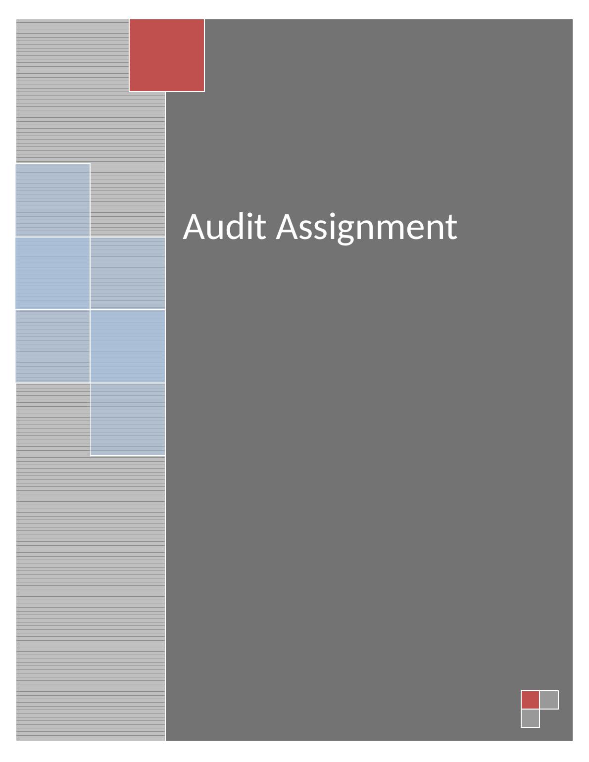 audit assignment define