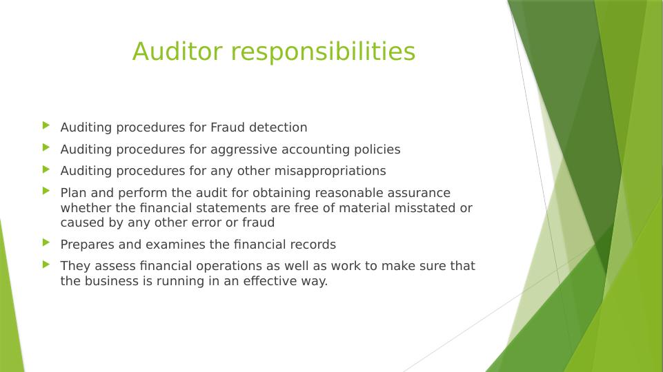 Auditing Theory and Practice: Fraud Detection and Prevention in BC Iron Limited_4