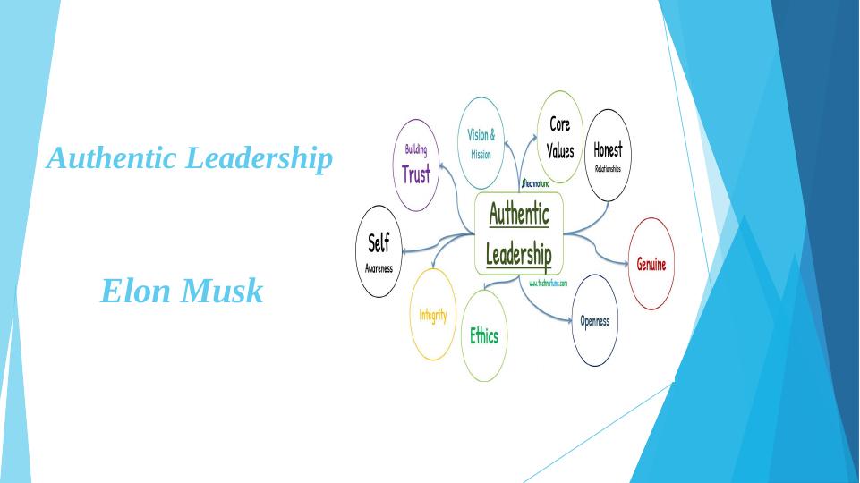 Authentic Leadership: Evaluating the Role of Elon Musk in Tesla_1