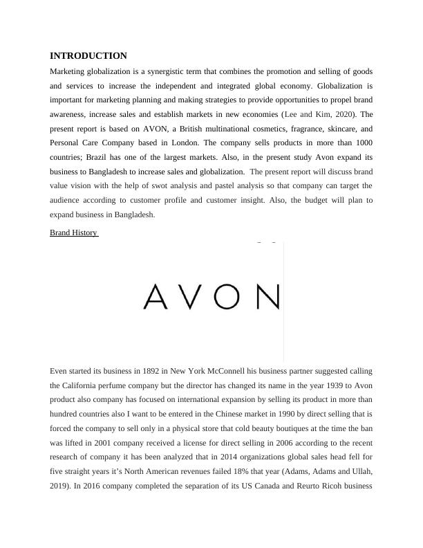 Global Marketing Planning & Strategy for Avon Products, Inc._3