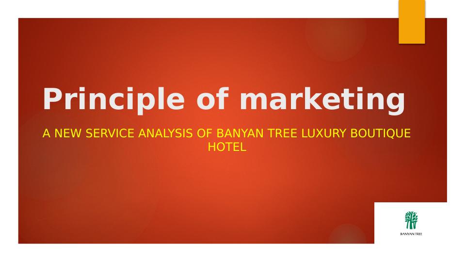 New Service Analysis of Banyan Tree Luxury Boutique Hotel_1