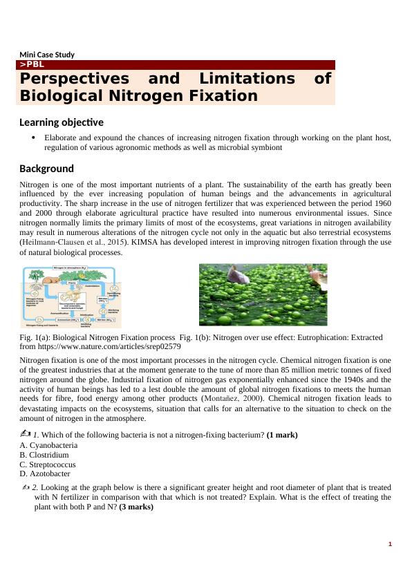 Biological Nitrogen Fixation: Chances Of Increasing Nitrogen Fixation