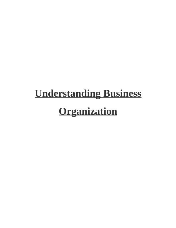 Understanding Business Organization and Analysis of Premier Inn