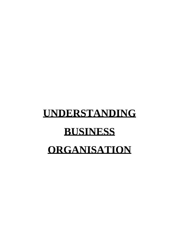 Understanding Business Organisations: Advantages, Disadvantages, and Impact on Workforce_1