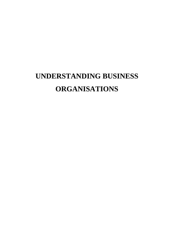 Understanding Business Organizations - Types, Functions, and Impact of Management Activities_1