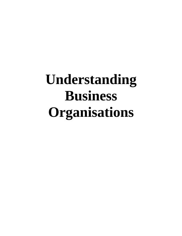 Understanding Business Organizations_1
