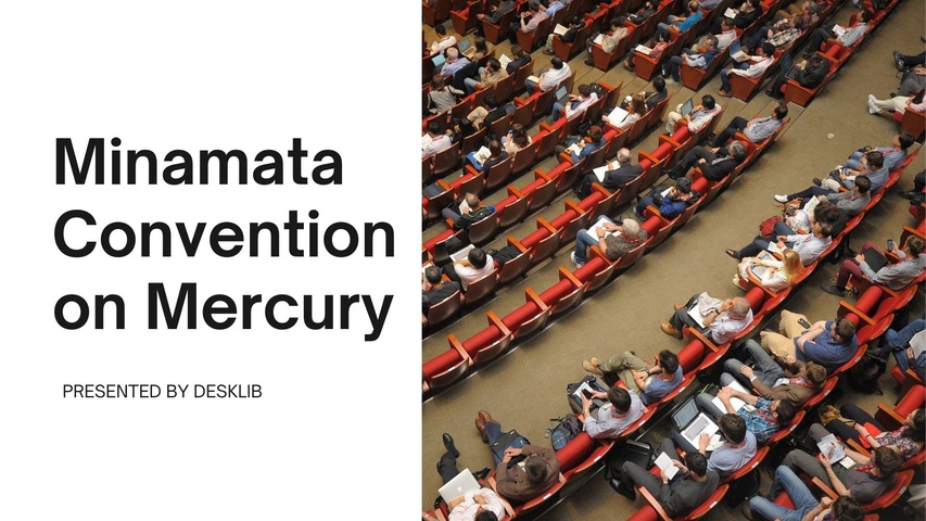 (PDF) The Minamata Convention on Mercury