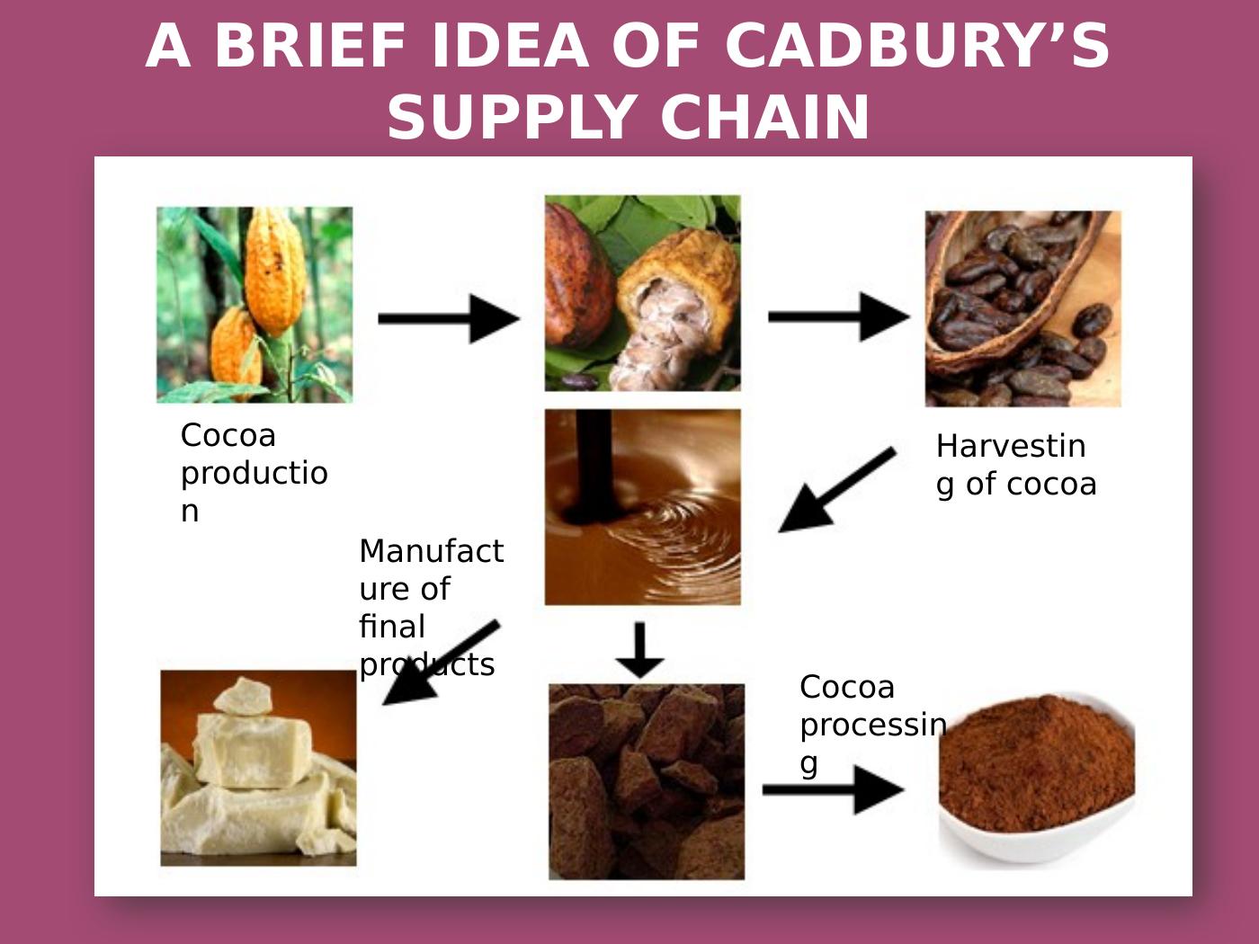 cadbury supply chain case study