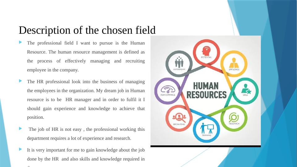 Individual Presentation Paper on Career Plan in Human Resource_4