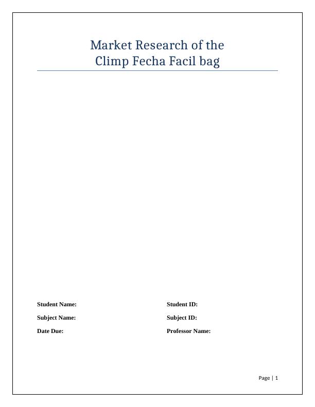 Market Research of Climp Fecha Facil Bag_1