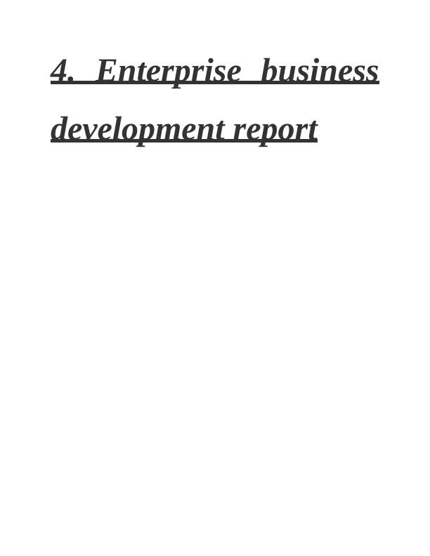 Enterprise Business Development Report for Colorful Threads_1