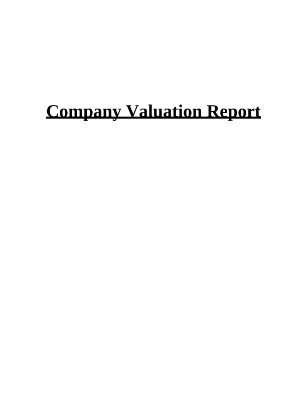 Company Valuation Report_1