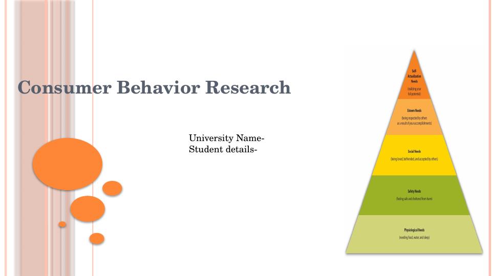 Consumer Behavior Research: Understanding Client Needs and Demands_1