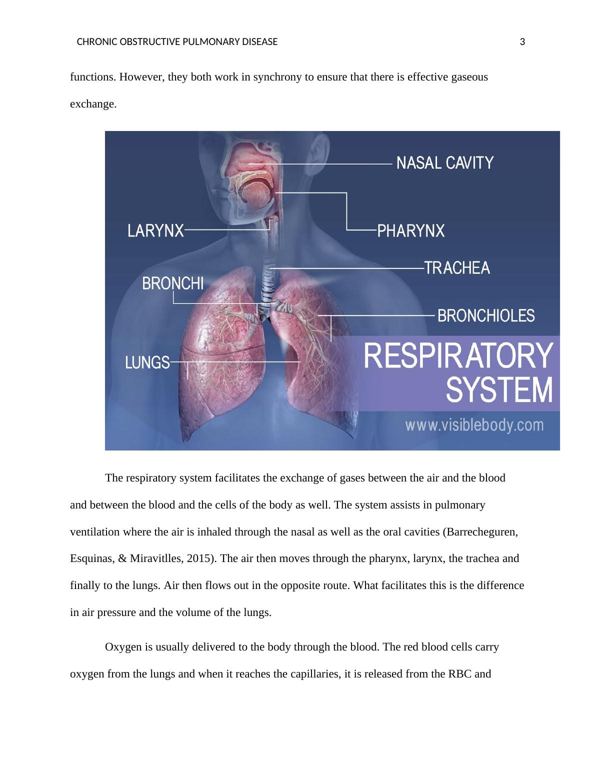 Chronic Obstructive Pulmonary Disease: A