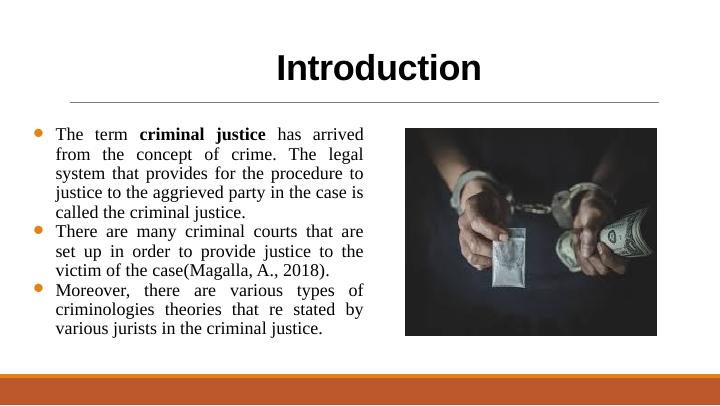 Critical Perspectives on Criminology and Criminal Justice_3