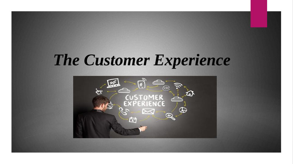 The Customer Experience: Factors, Standards, Culture, Investigation, and Techniques_1