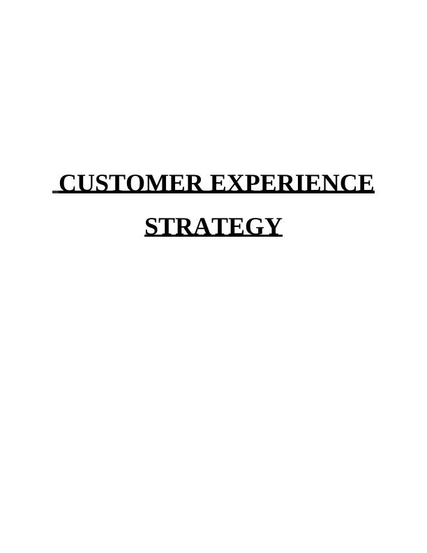 Customer Experience Strategy for National History Museum_1