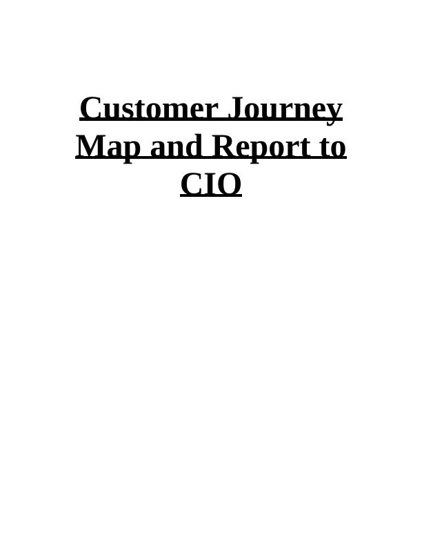 Customer Journey Map and Report to the CIO_1