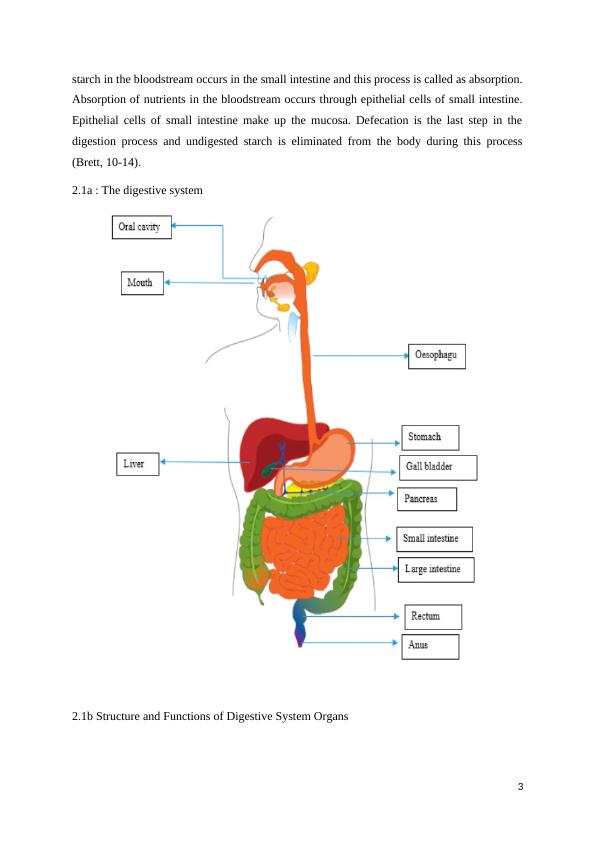 Six Processes of Digestion and Structure of Digestive System Organs_3