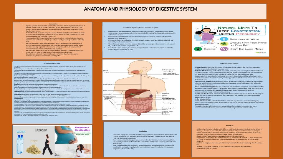 Anatomy and Physiology of Digestive System: Correlation with Cardiovascular System and Nutritional Recommendations for Pregnant Women_1