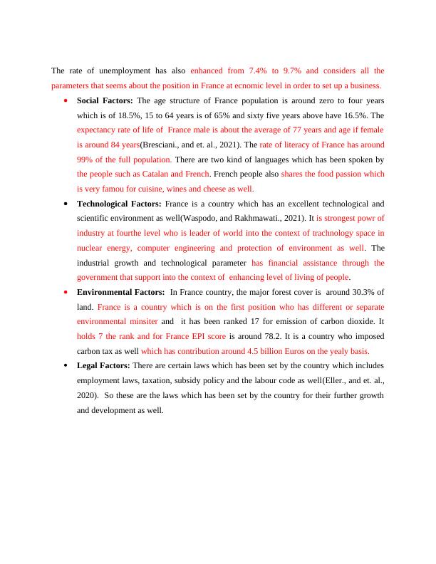 Digital Strategy Plan for Radical Storage in French Market