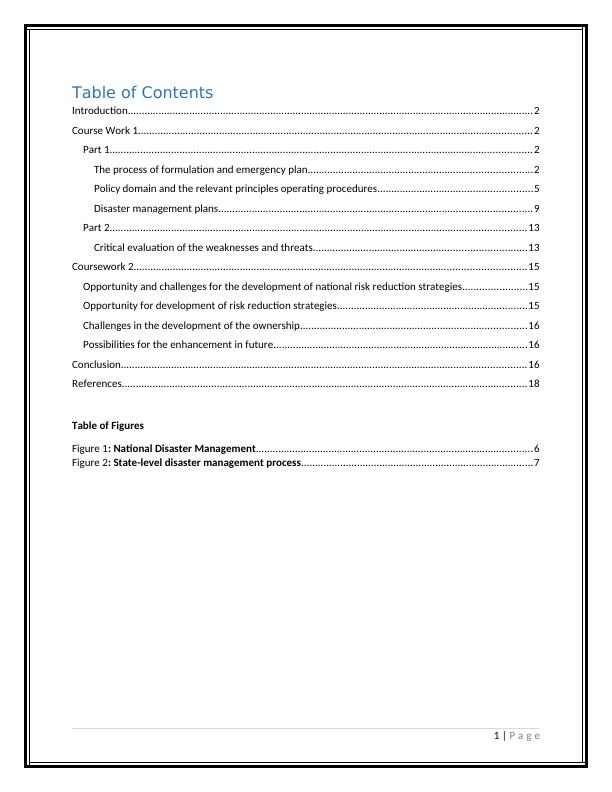 Disaster Risk Management Plan | Desklib