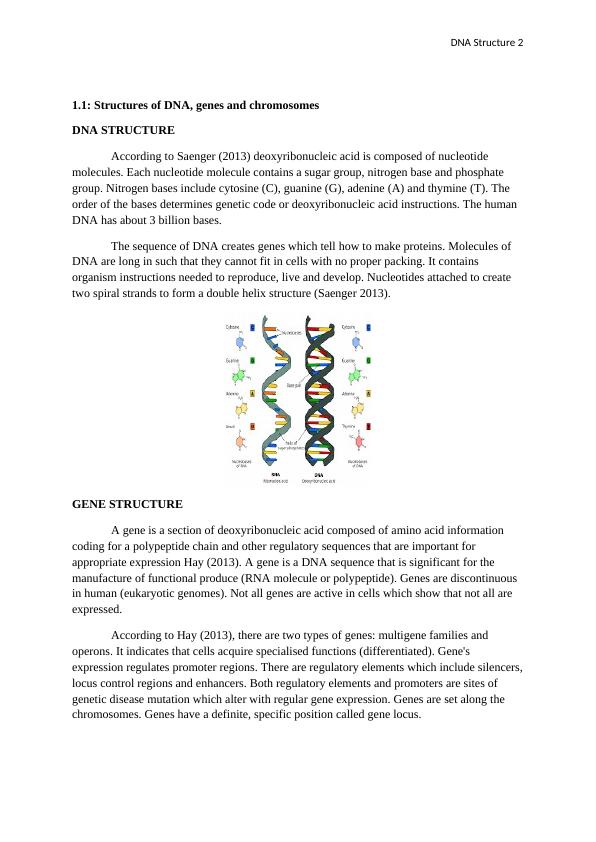 DNA Structure: Genes, Chromosomes, Replication, Mitosis and Meiosis_2