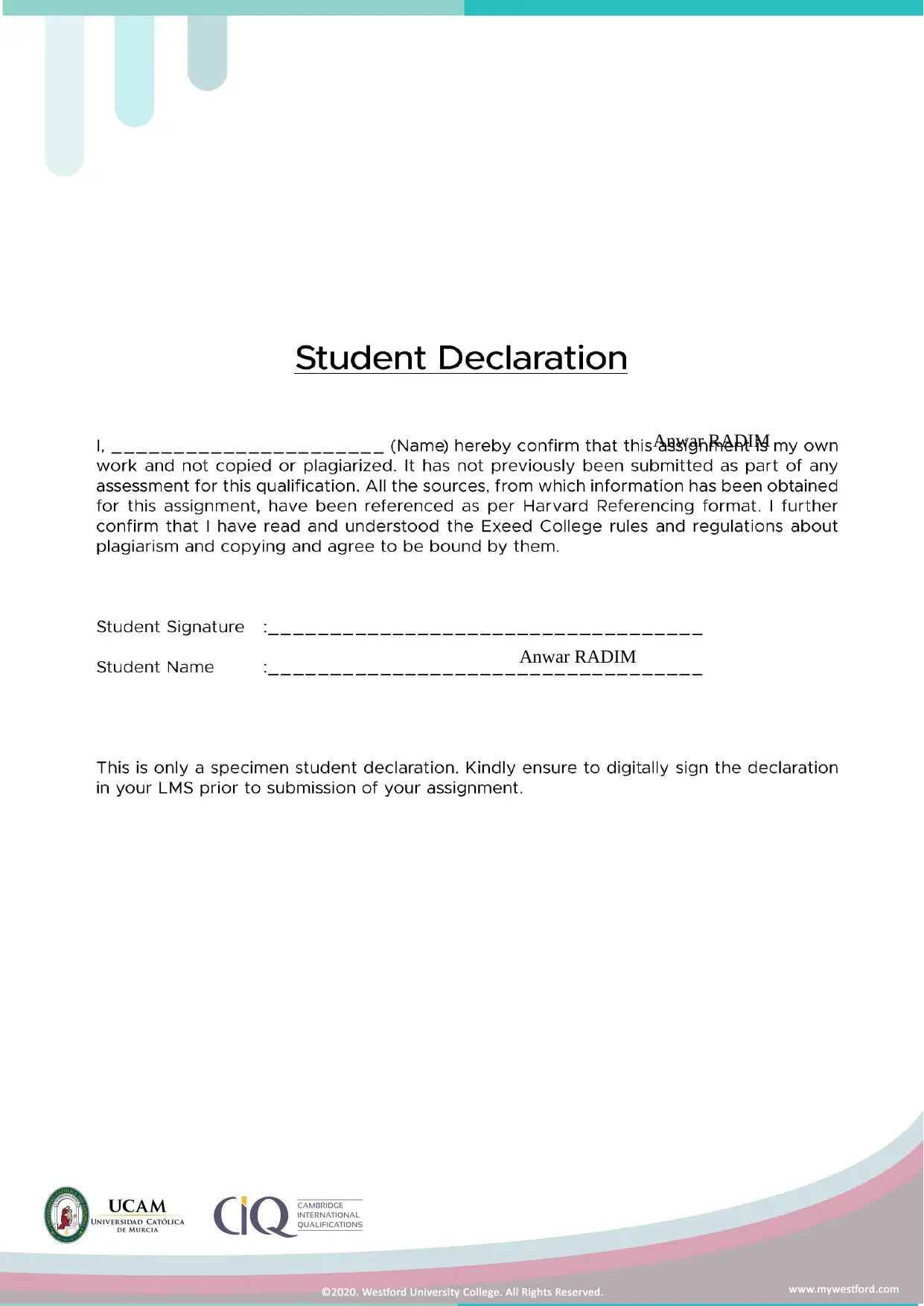 Document Page