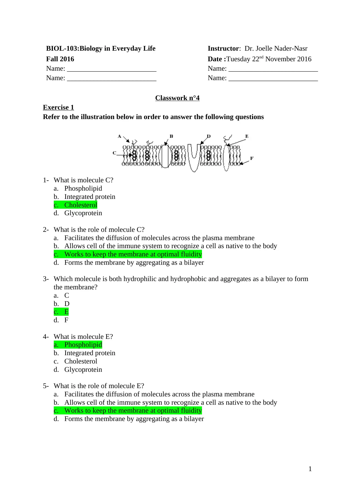 Document Page