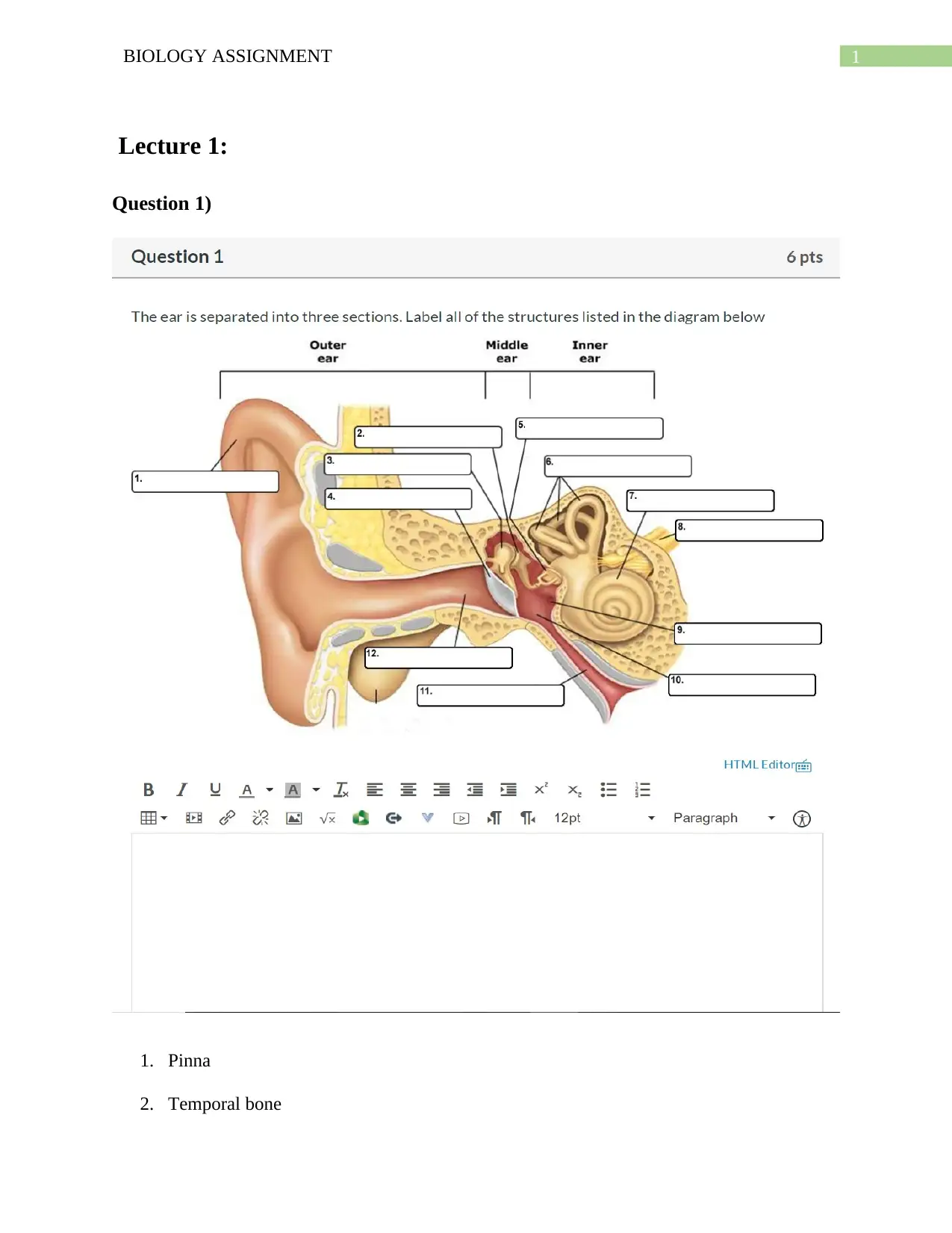 Document Page