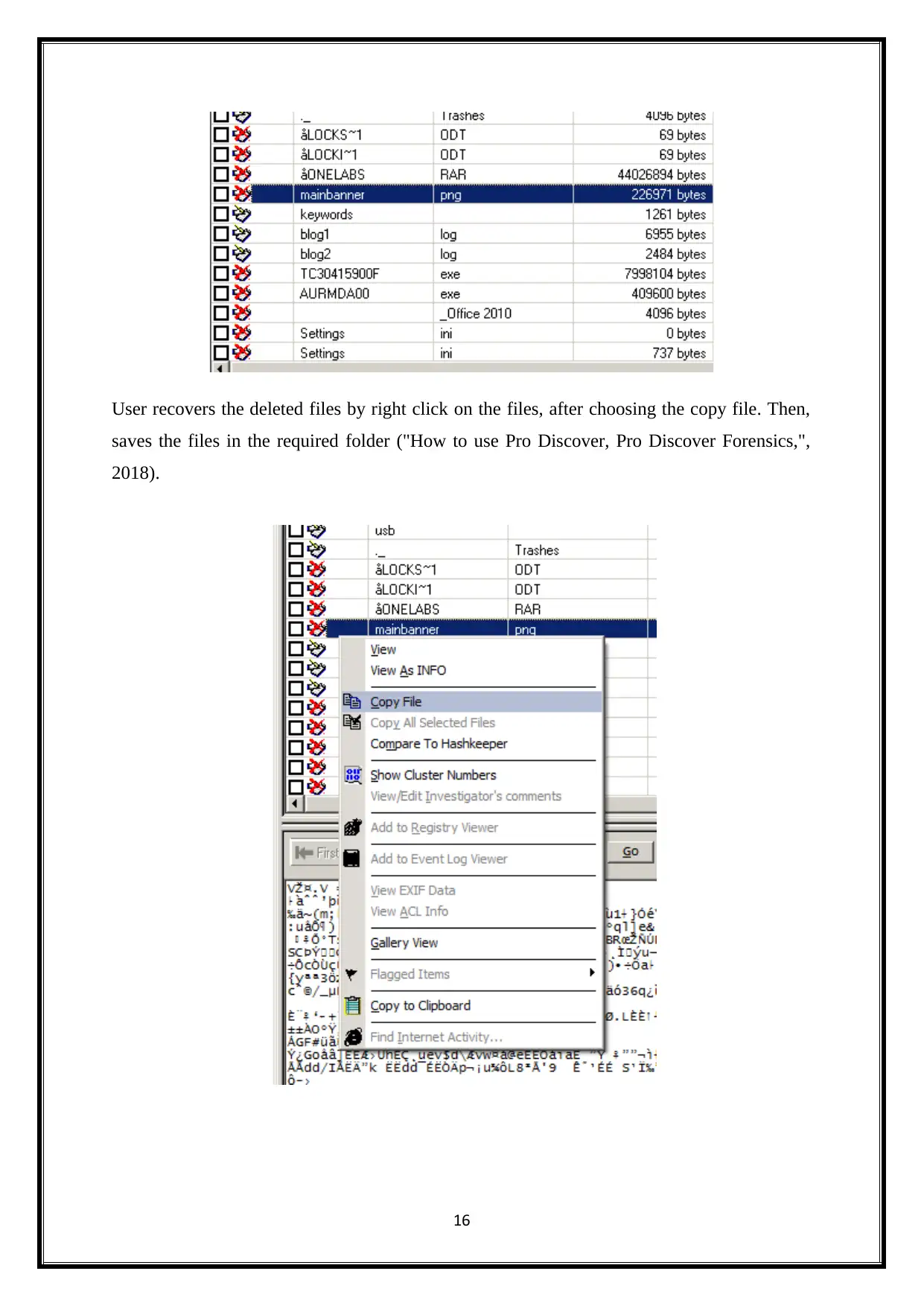 Document Page