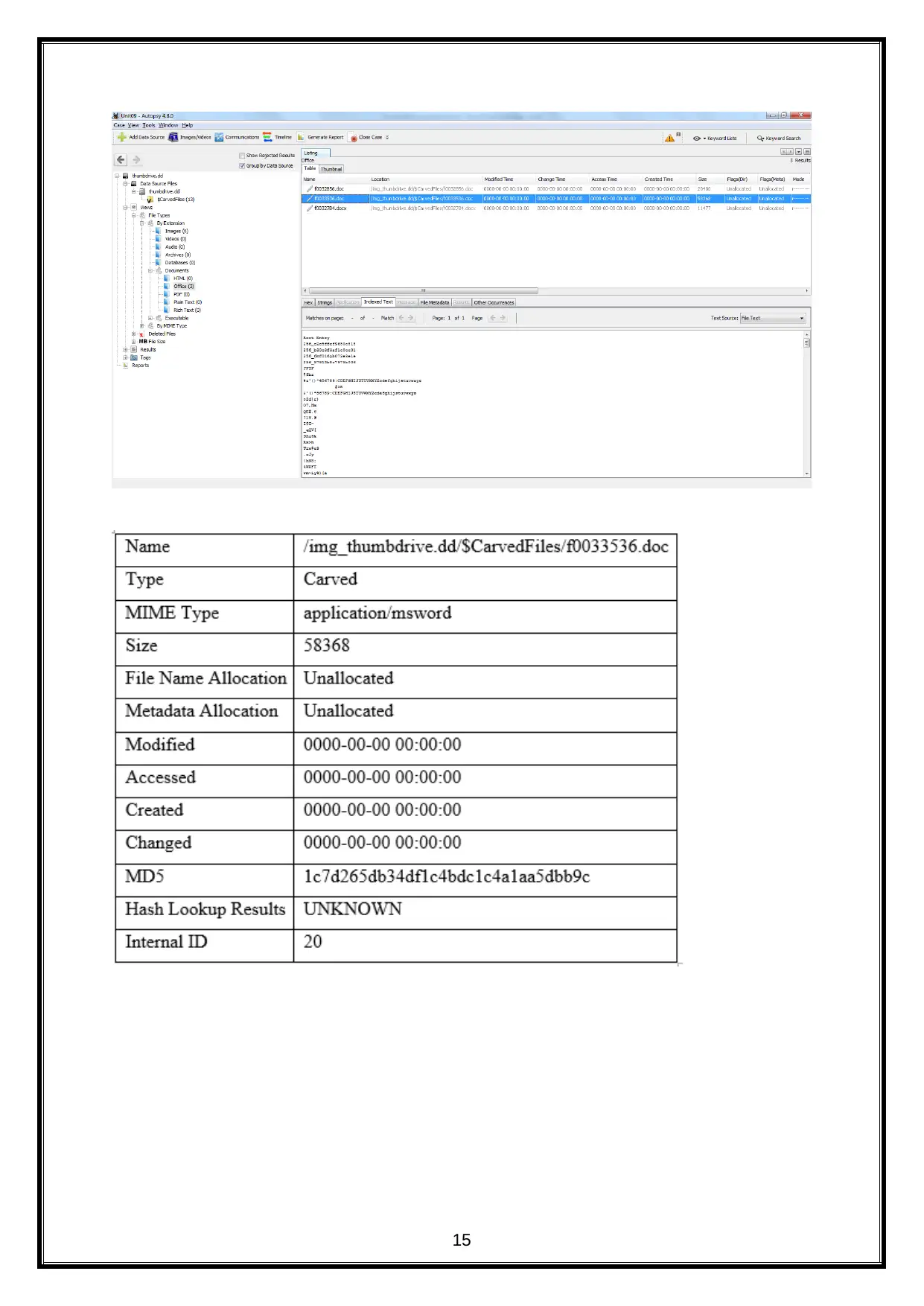 Document Page