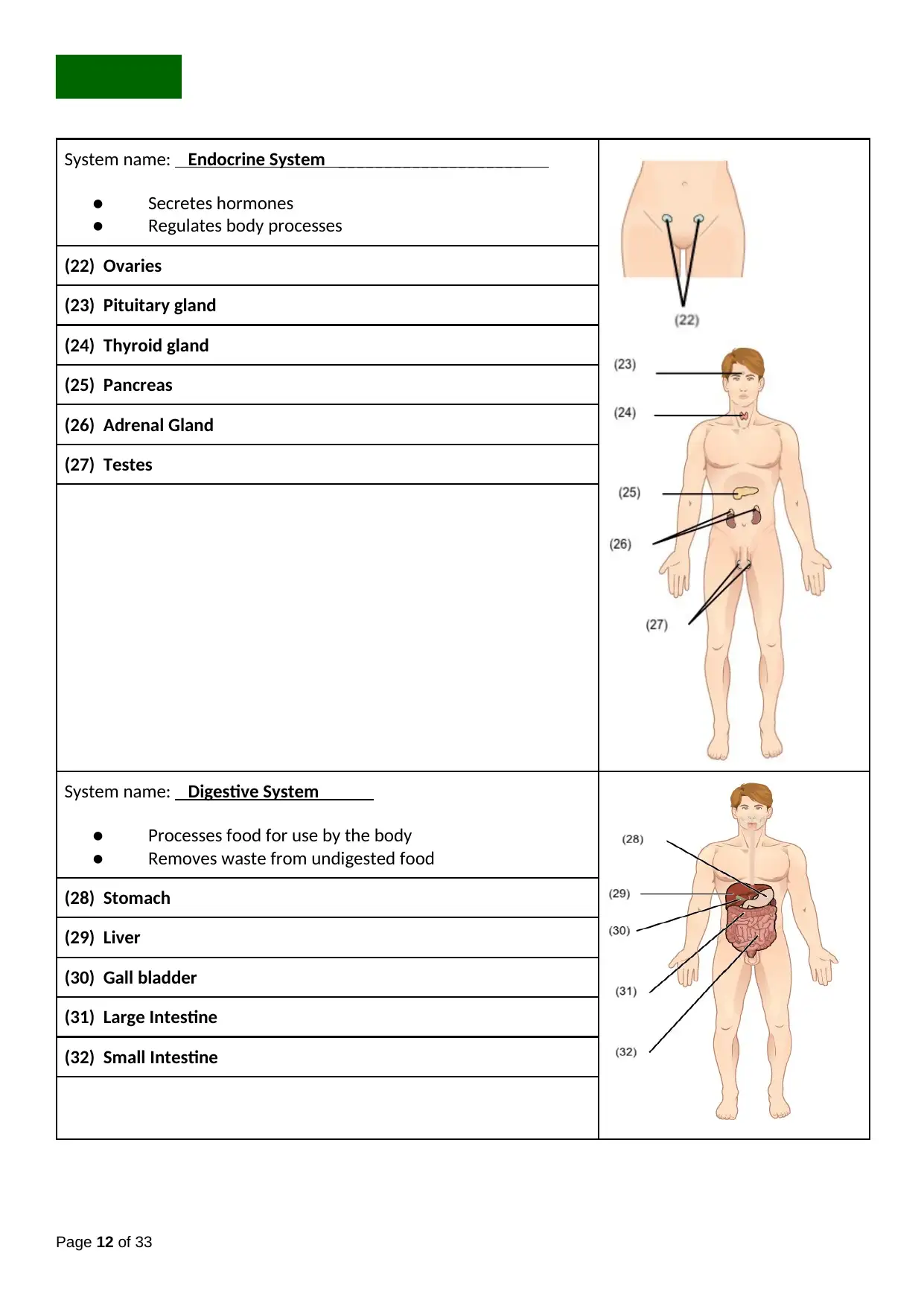 Document Page