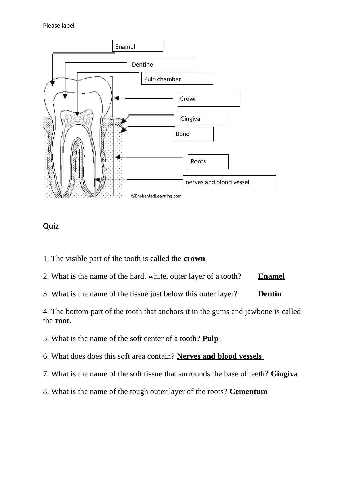 Document Page