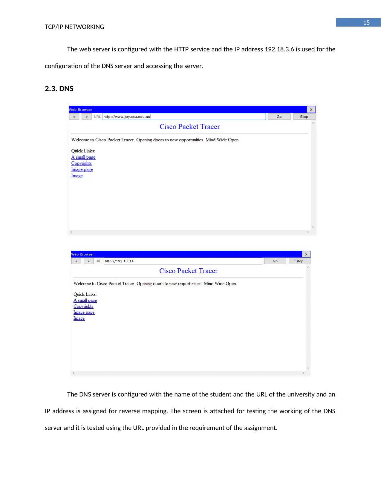 Document Page