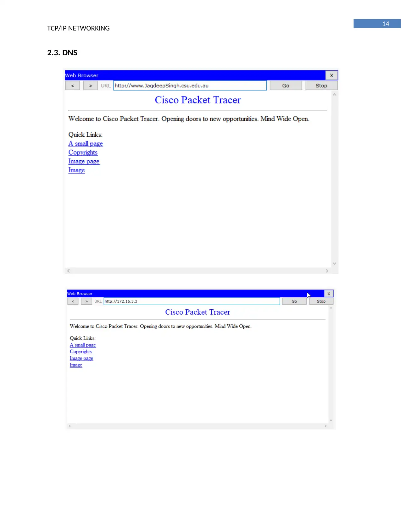 Document Page