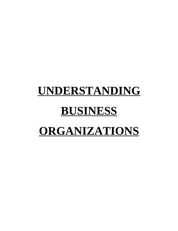 understanding business organisations assignment