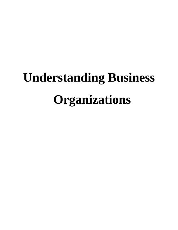 Understanding Business Organizations - Types, Functions, Structure and Culture_1