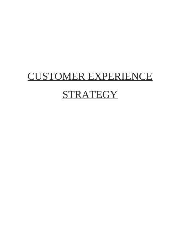 Customer Experience Strategy | Desklib